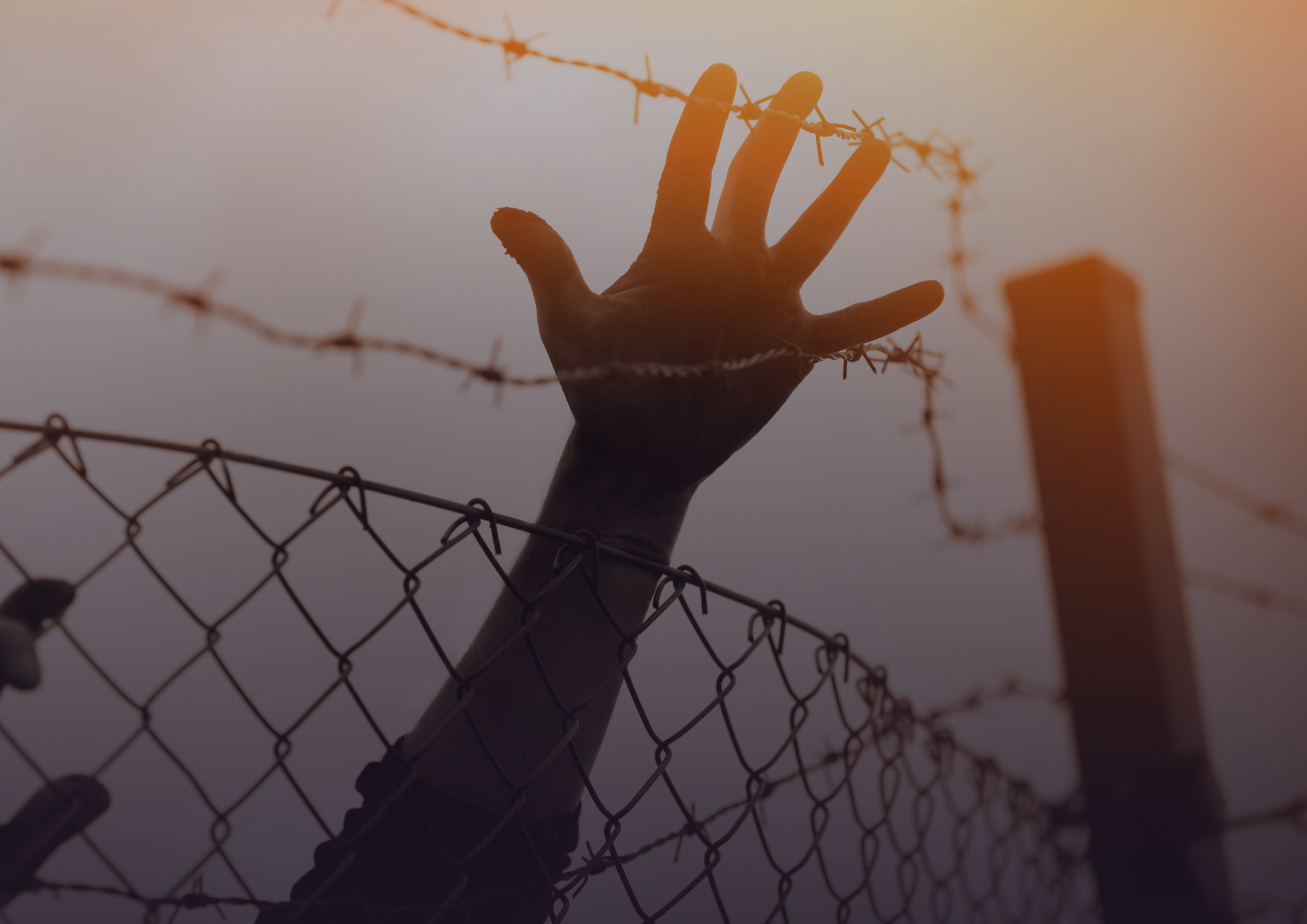 24 محتجزة إريتريين من سجن 15 مايو بحلوان لمكان غير معلوم، و إبلاغ ذويهم بعمل فحص كورونا لهم تمهيدا لترحيلهم قسرا Poster Landscape 1